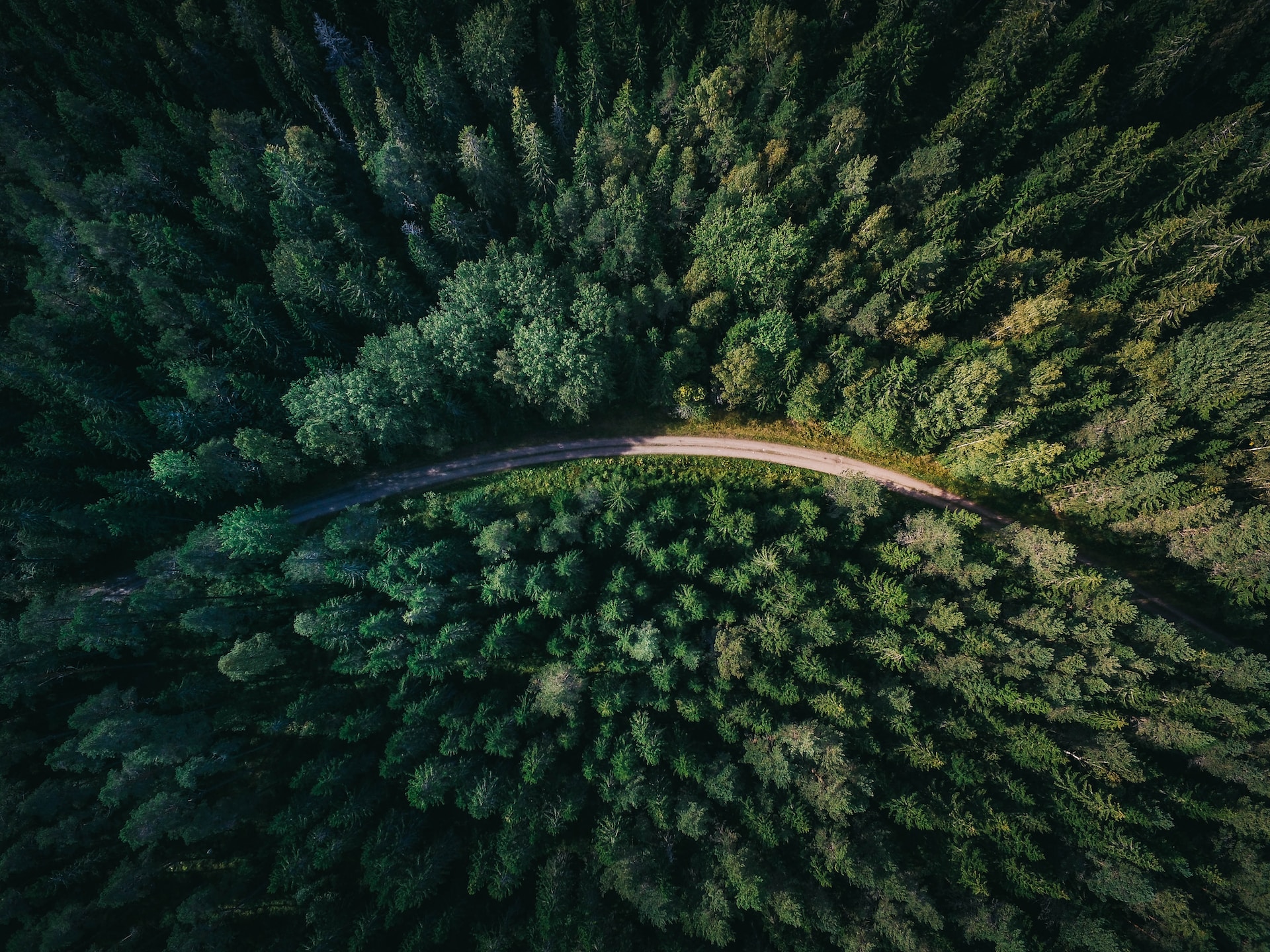 The “Mosaic Forest”: France’s Answer to Climate Adaptation