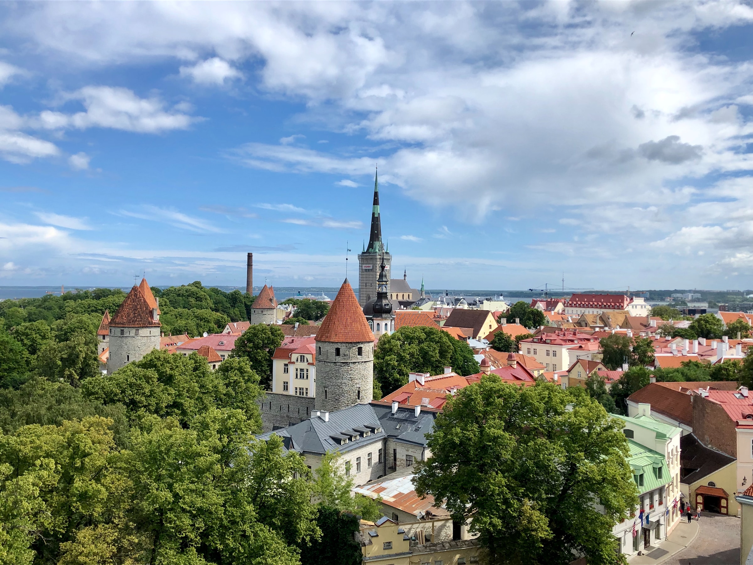 Tallinn Embraces Nature: The Impact of European Green Capital 2023