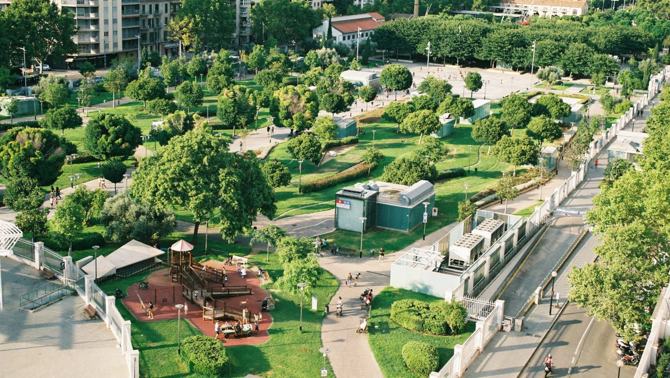 The Dual Role of Greenspace: A Cellular Lifeline Amidst Environmental Challenges