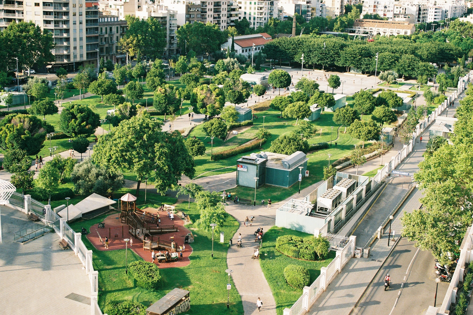 The Dual Role of Greenspace: A Cellular Lifeline Amidst Environmental Challenges