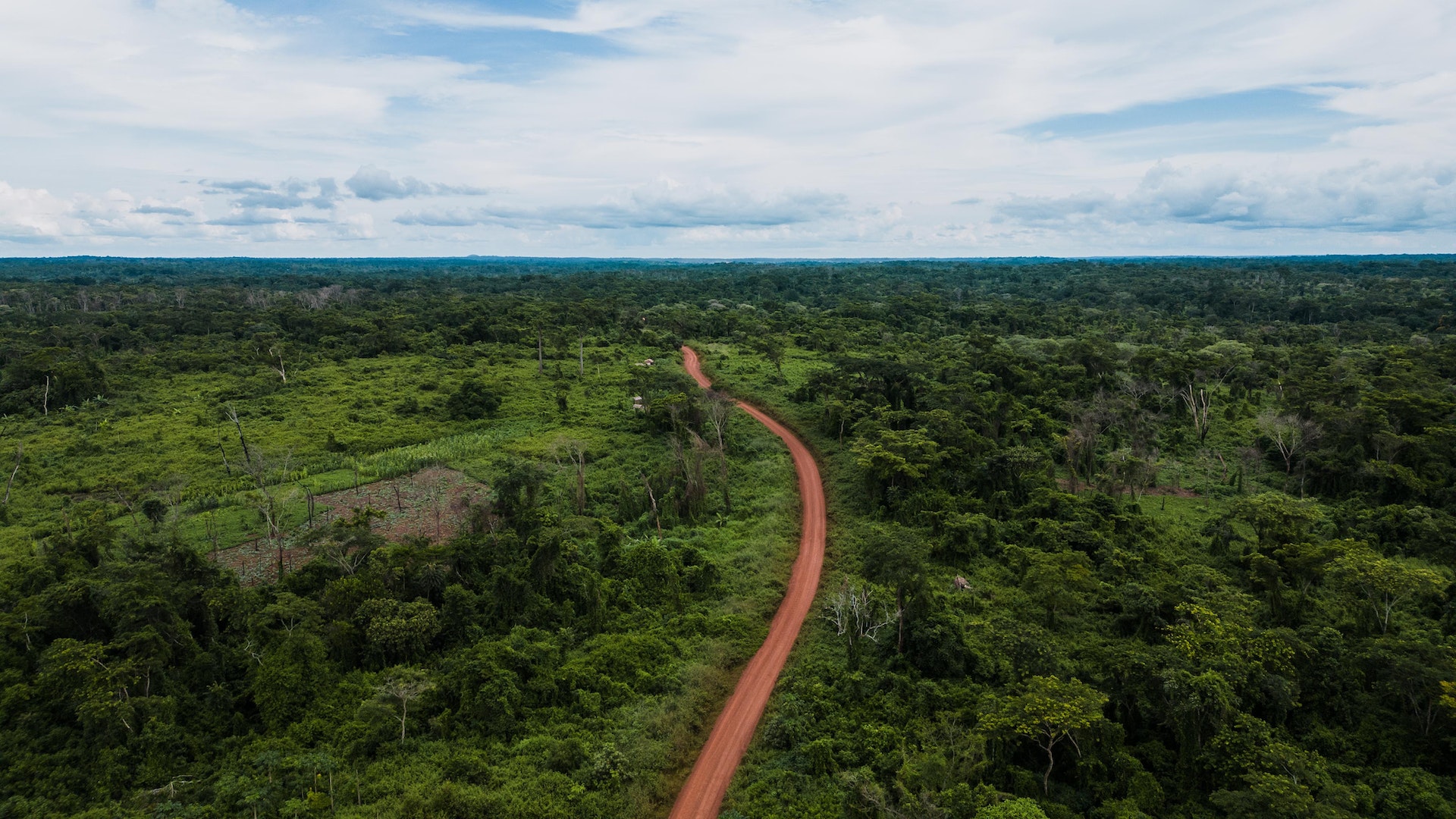 AI Boxes in the Brazilian Amazon: The Cutting-Edge Solution to Halt Deforestation