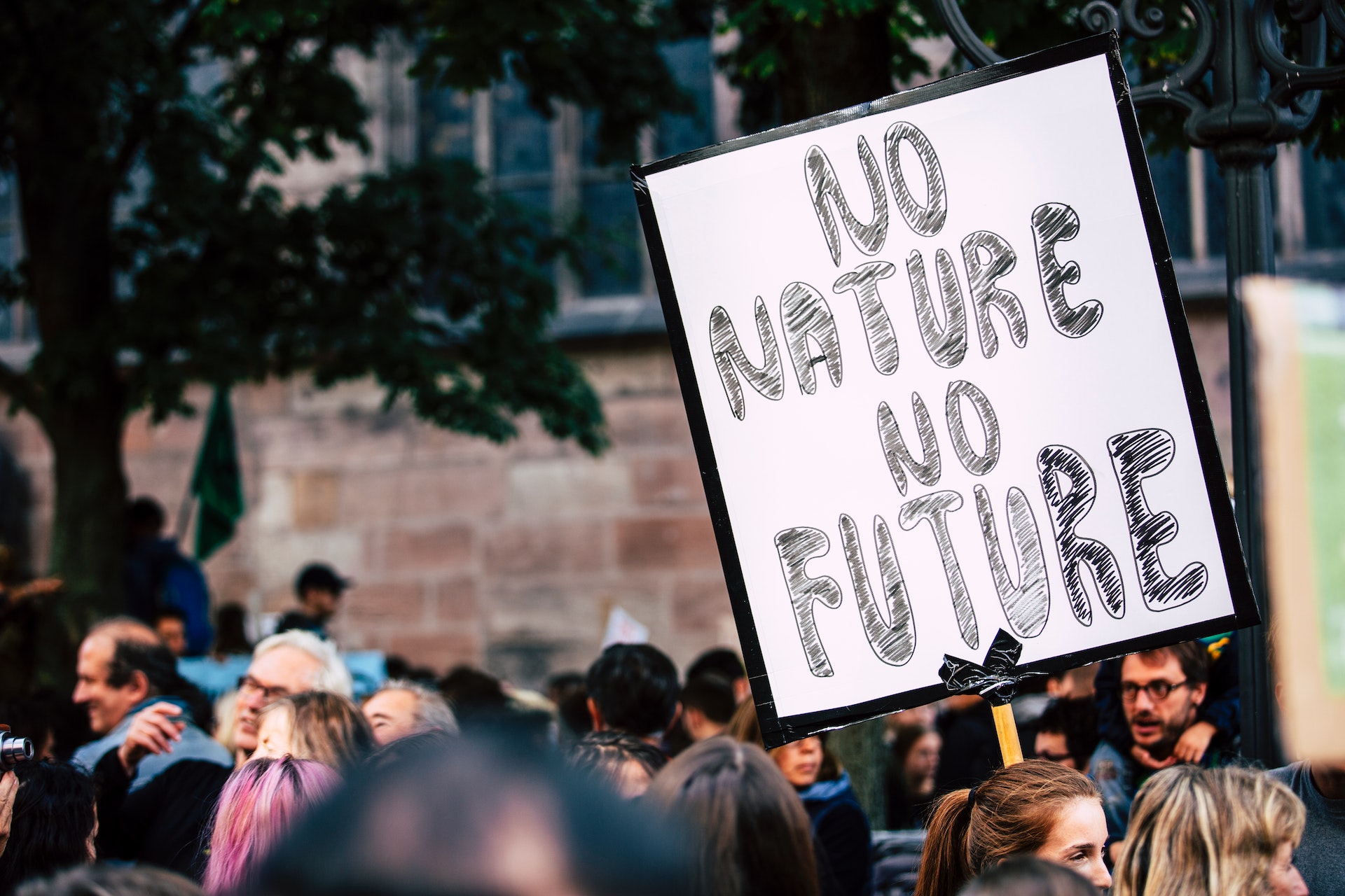 French Motorway Controversy Ignites Widespread Protests