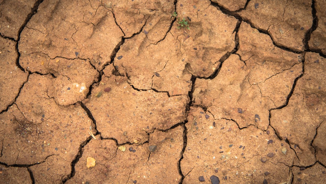 Drought in the Amazon: El Niño’s Toll on Brazilian Livelihoods