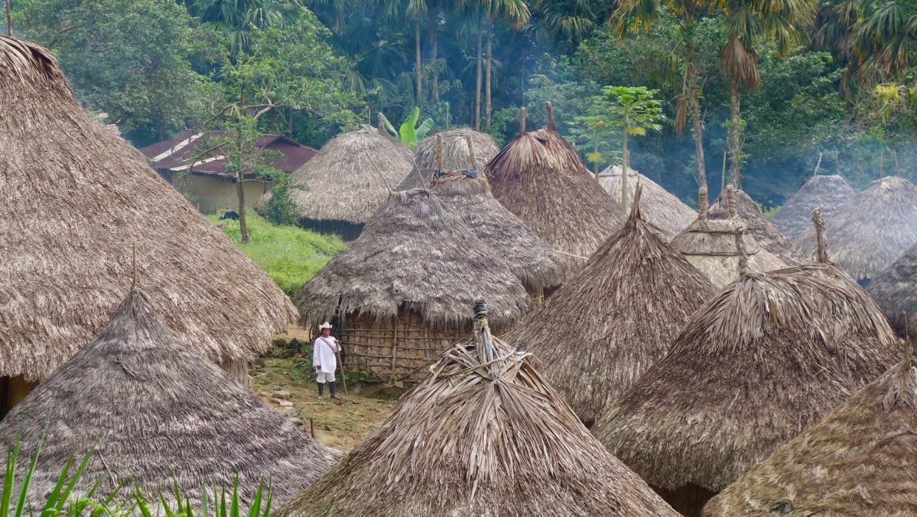 Amazon Engulfed: Climate Crisis Fuels Fires and Drought in Earth’s Largest Rainforest