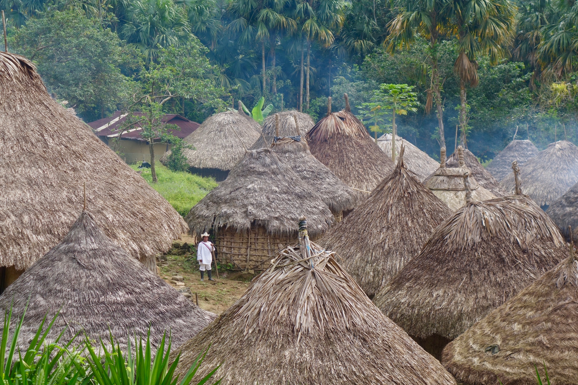 Amazon Engulfed: Climate Crisis Fuels Fires and Drought in Earth’s Largest Rainforest