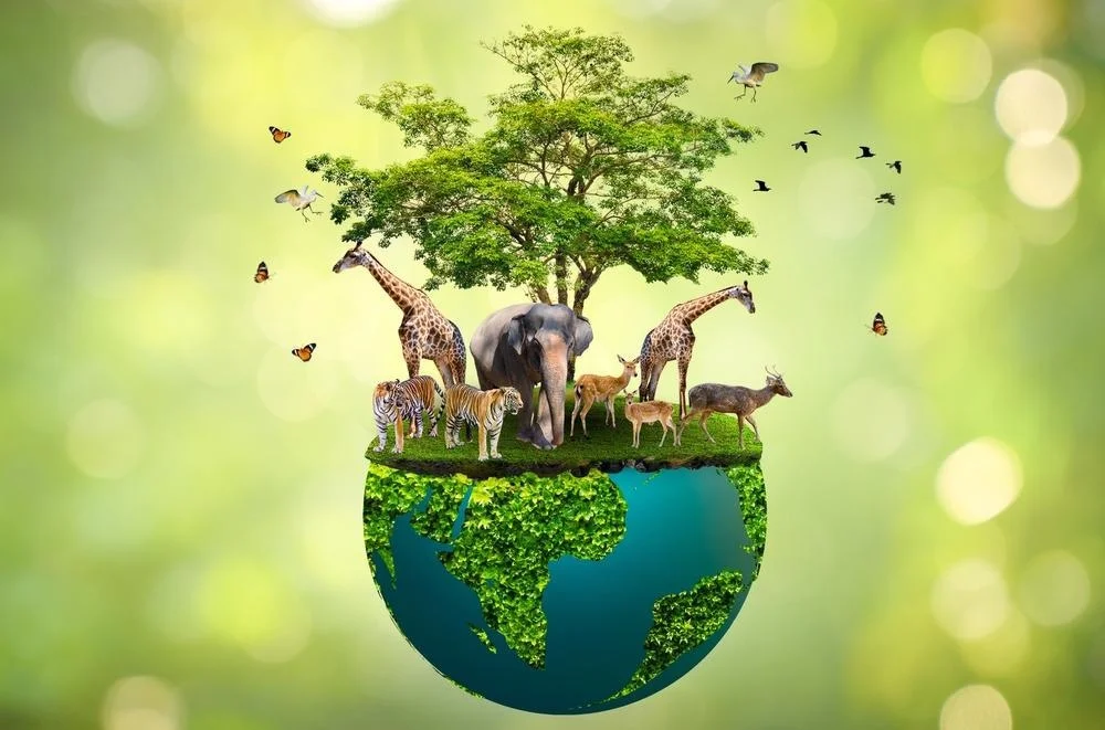 Which animals play a key role in environmental initiatives?