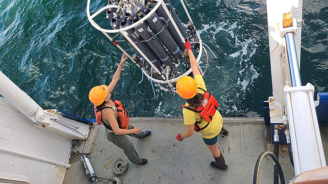 Scientists sound the alarm: expansion of the ‘dead zone’ in the Gulf of Mexico threatens life