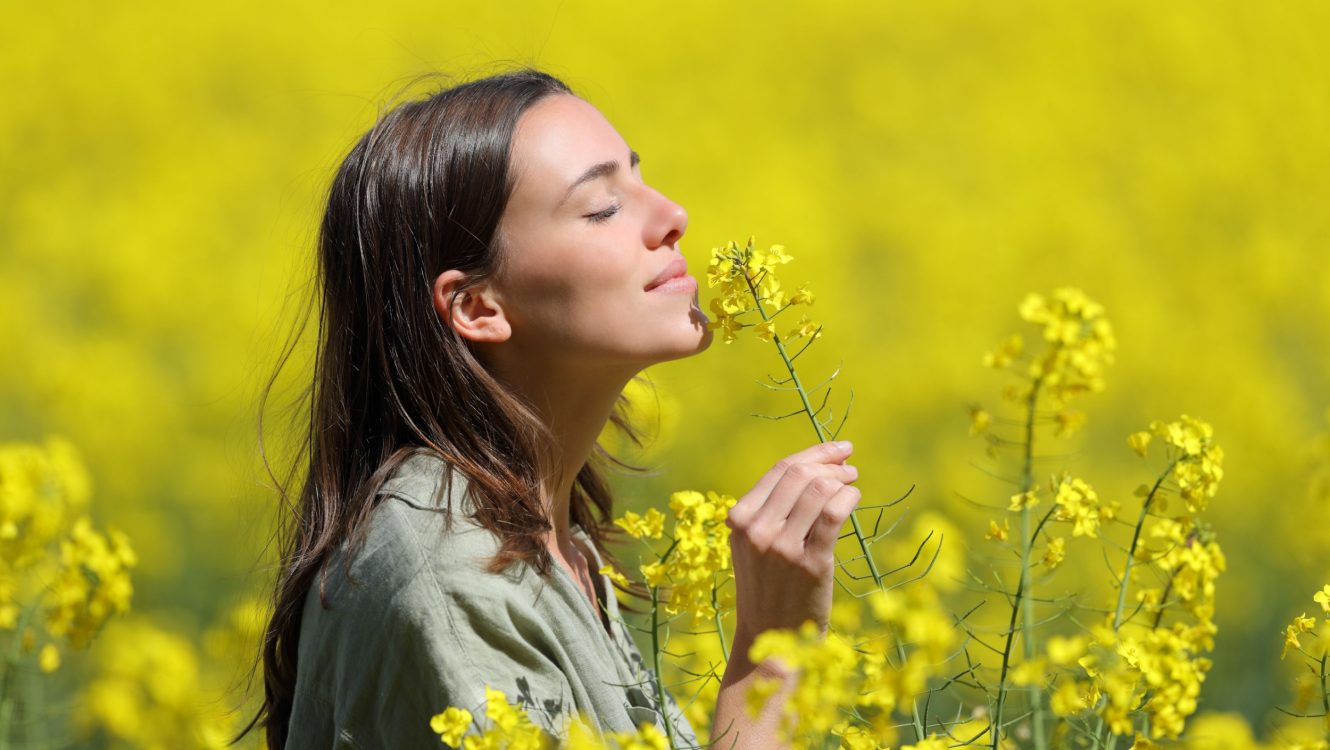 Nature’s Scents and Our Health: How Scientists Are Studying the Impact of Natural Smells on Well-Being