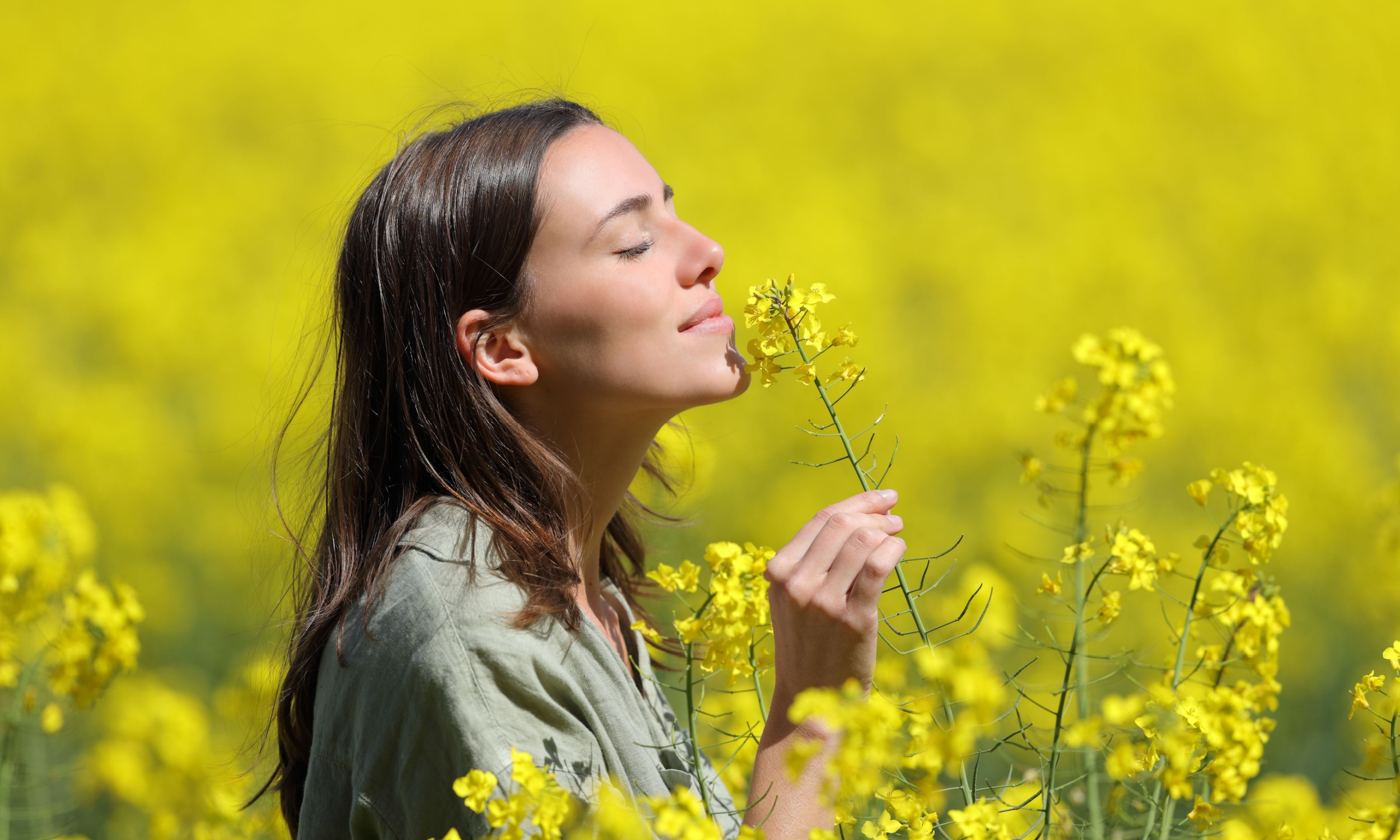 Nature’s Scents and Our Health: How Scientists Are Studying the Impact of Natural Smells on Well-Being